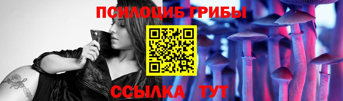 Торжок  Псилоцибиновые грибы прущие грибы  Вход с VPN 